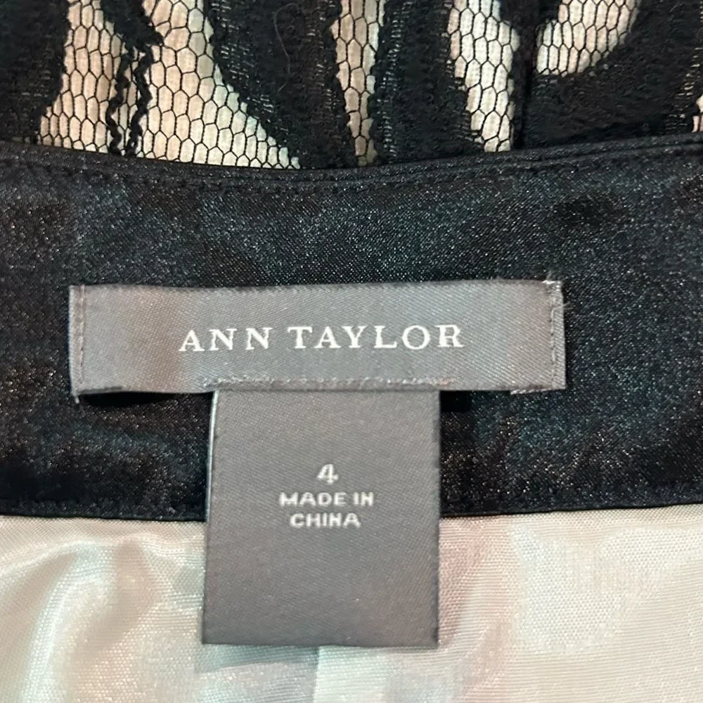 Ann Taylor skirt